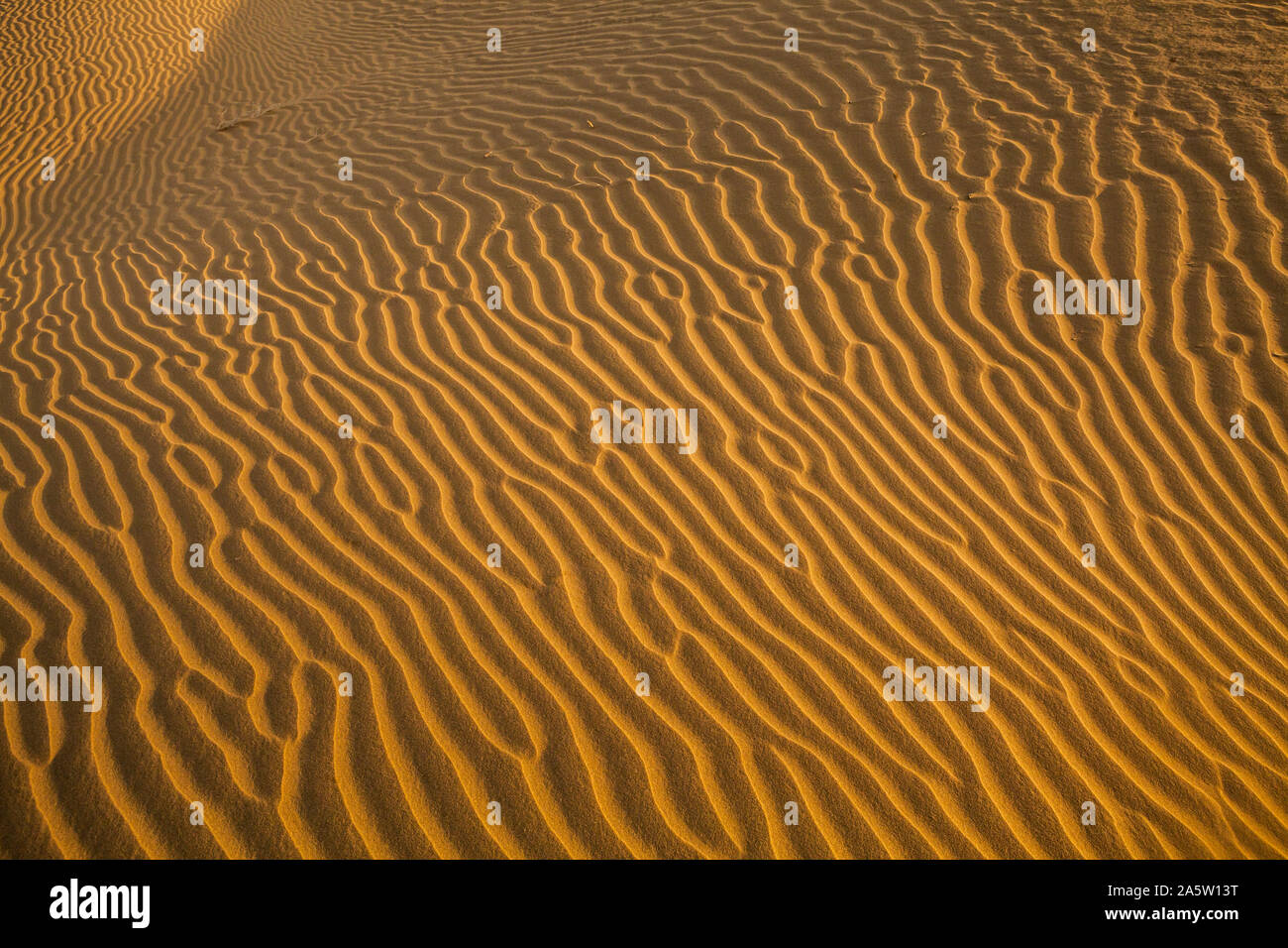 Wind blown sand patterns on the sand dunes of the Thar Desert