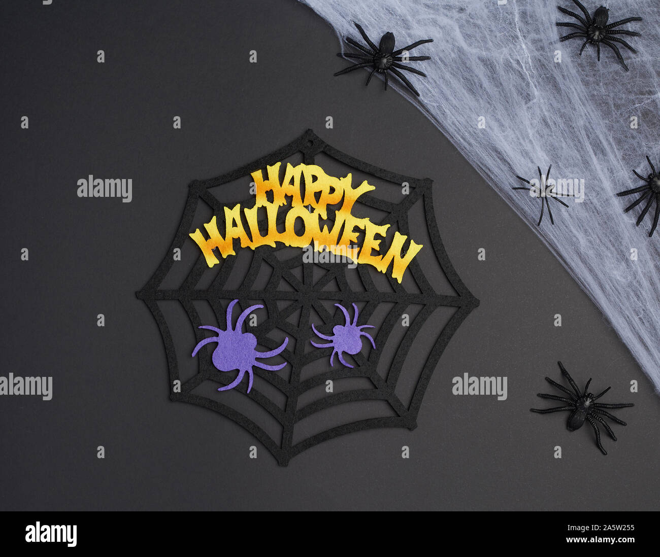 white spider web with black spiders, black background, close up Stock ...