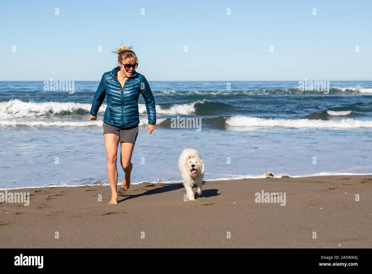 Shore english cream retrievers 2025