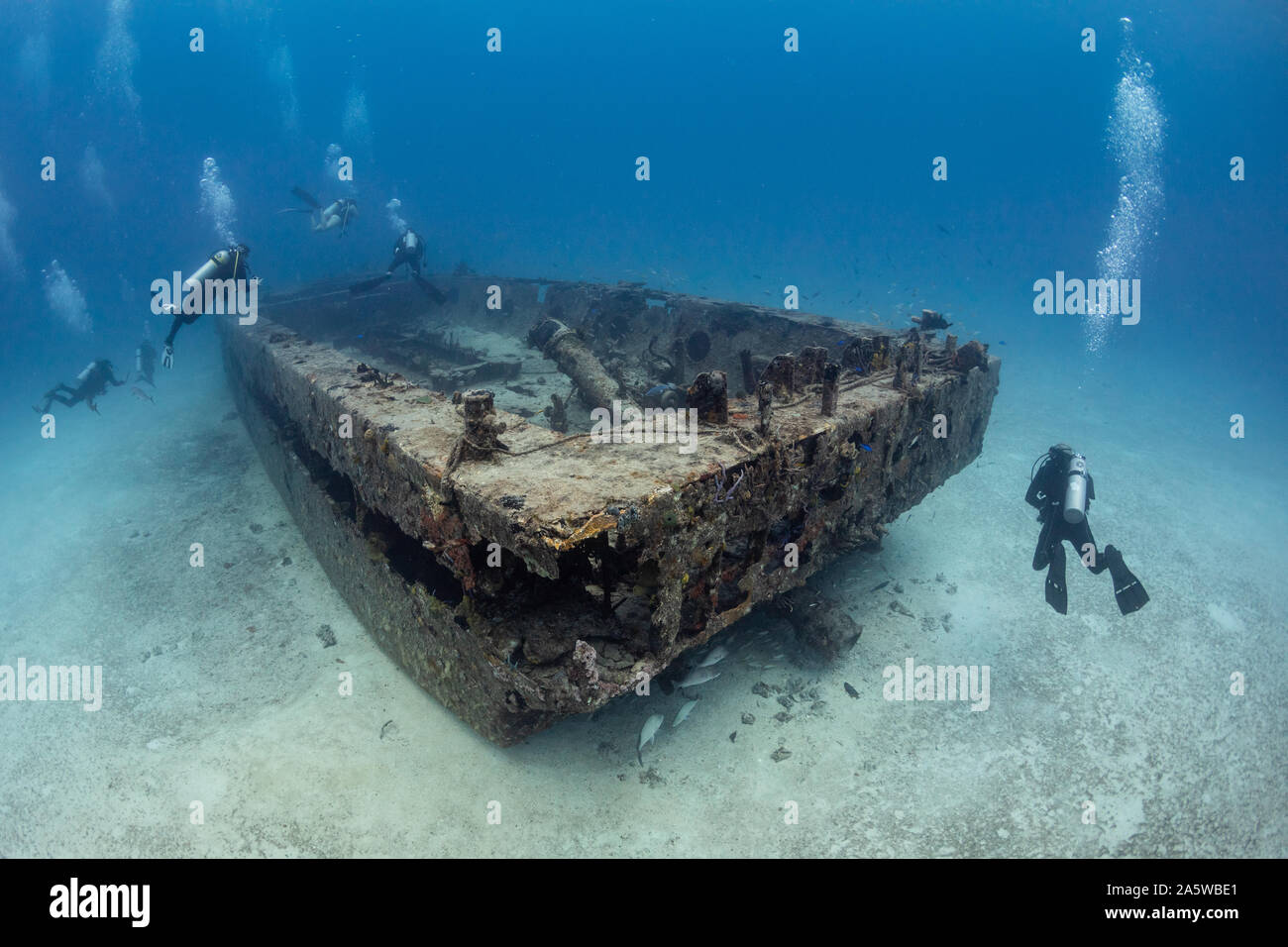 Several scuba divers swim around a shipwreck off the coast of Bimini, Bahamas. Stock Photo