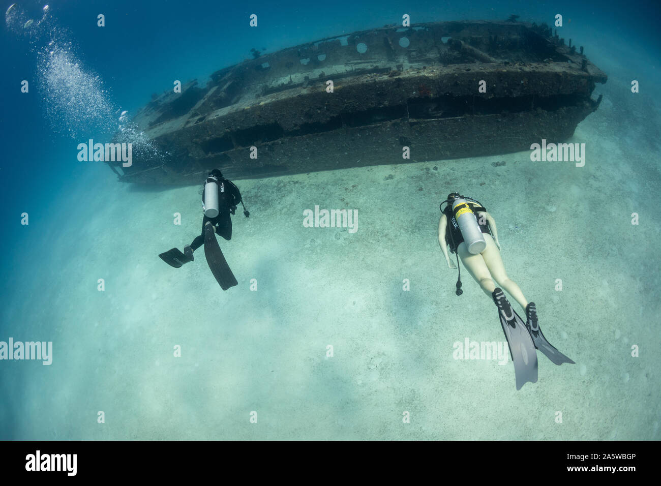 A man and woman swim towards a shipwreck while scuba diving off Bimini, Bahamas. Stock Photo