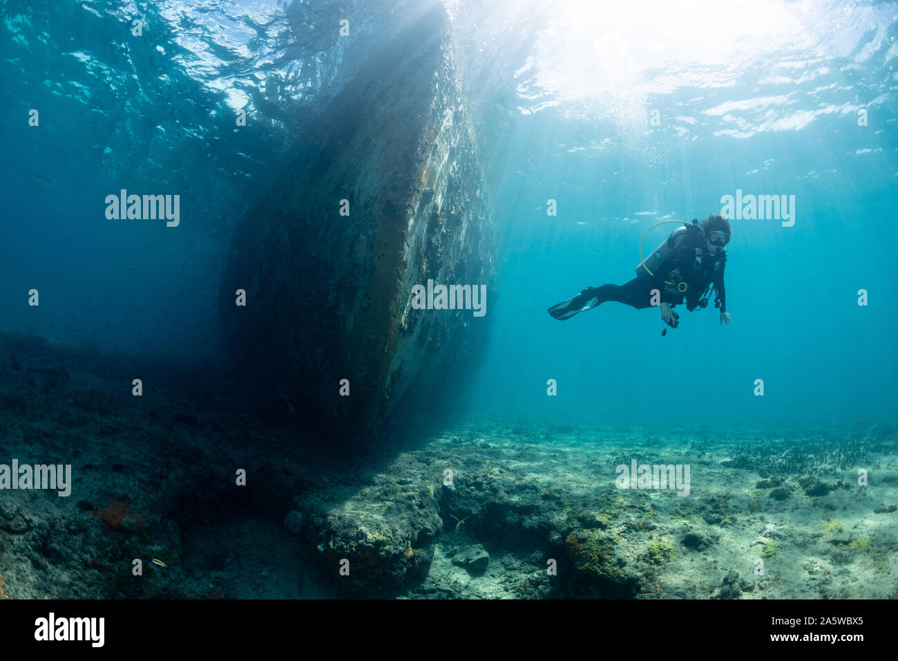 A scuba diver swims by the bow of the Sapona shipwreck in Bimini, Bahamas. Stock Photo