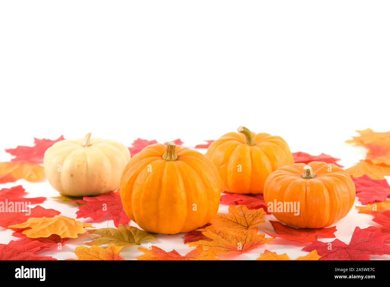 Four Pumpkins with bright coloured leaves Stock Photo