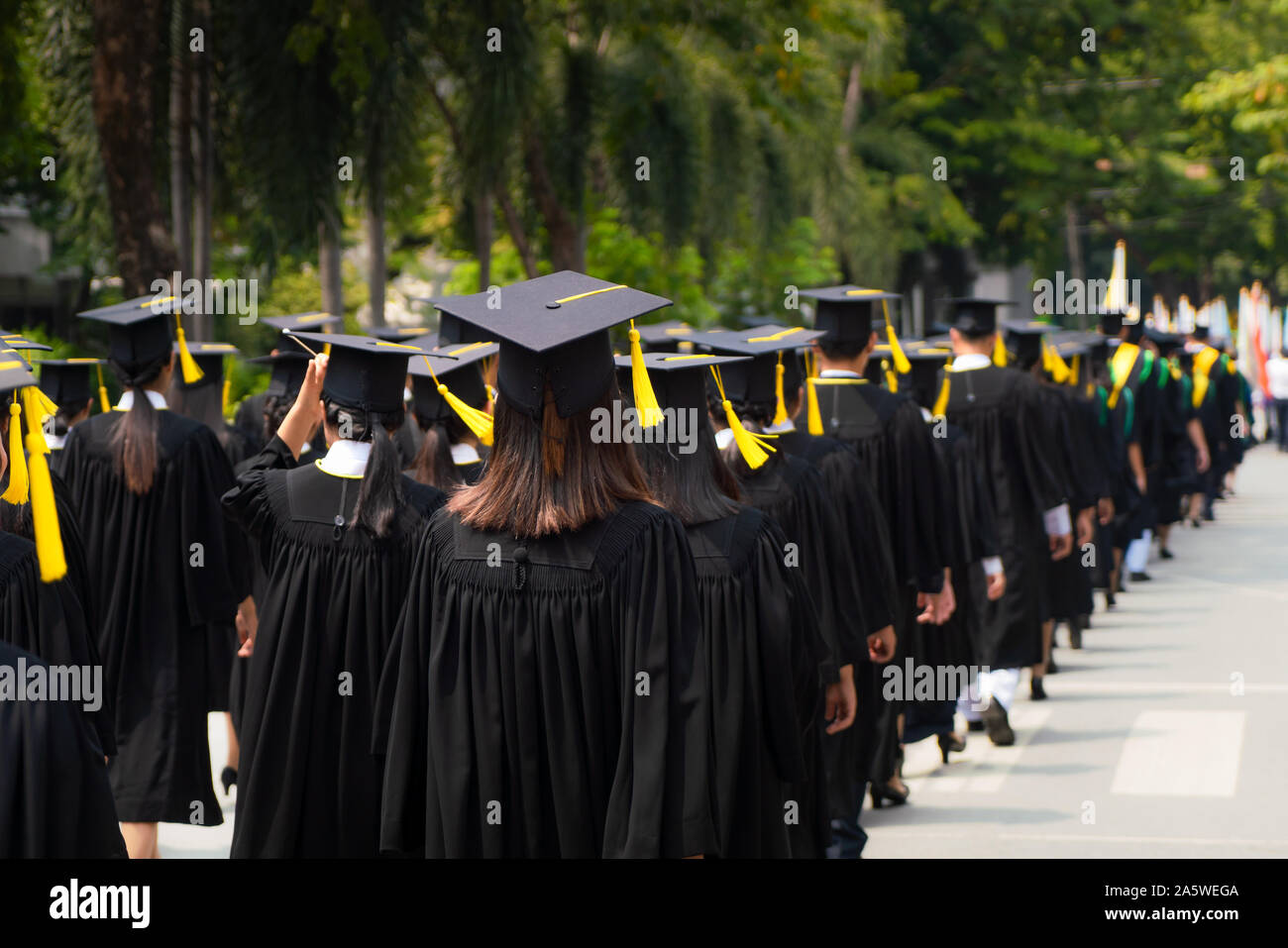 Rear view of group of university graduates in black gowns lines up for degree in university graduation ceremony. Concept education congratulation, stu Stock Photo