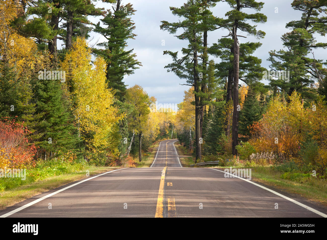 Tall pines and autumn color on Minnesota's Gunflint Trail Stock Photo