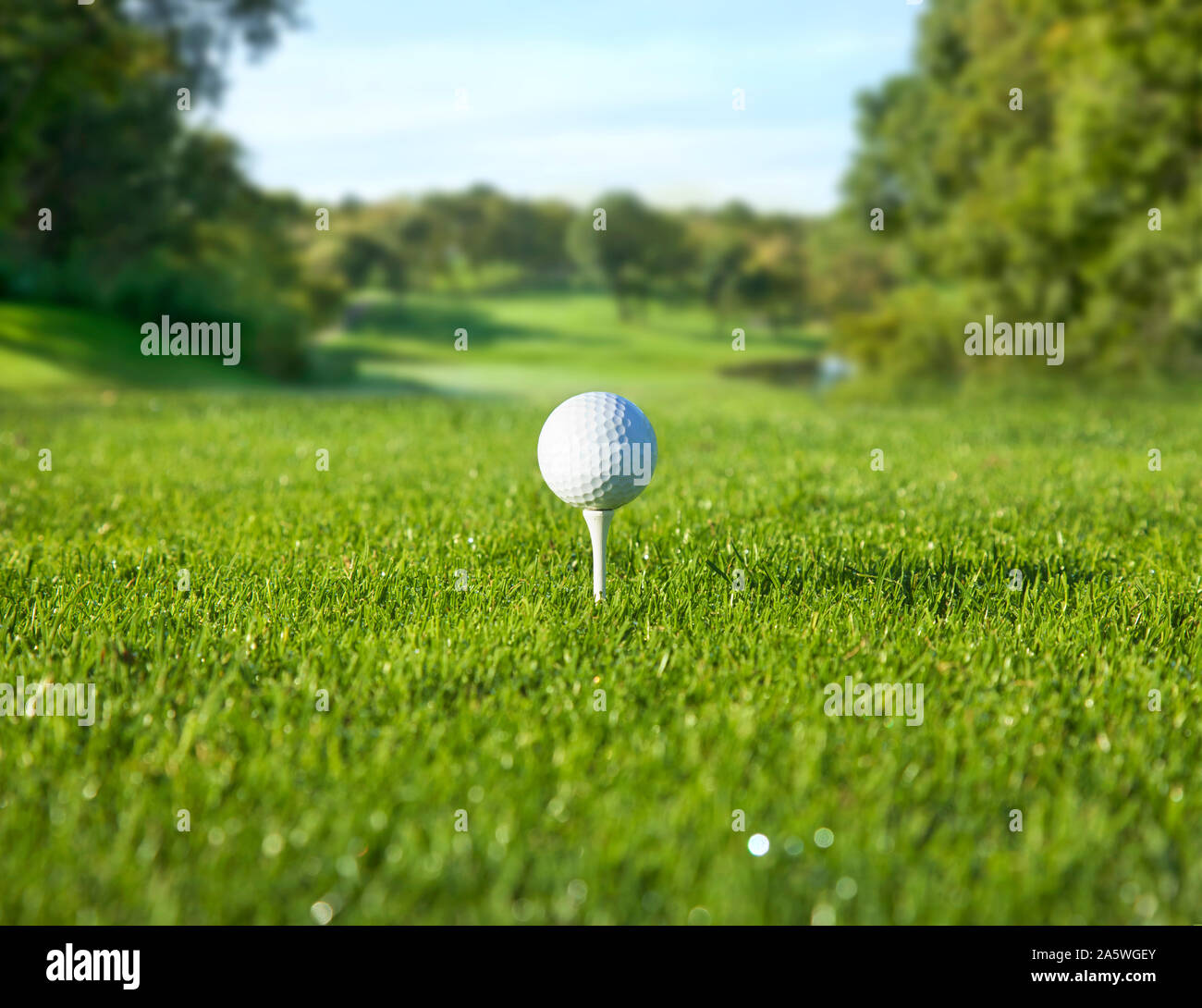 Low angle, selective focus view of golf ball on a tee in front of a sunny fairway Stock Photo