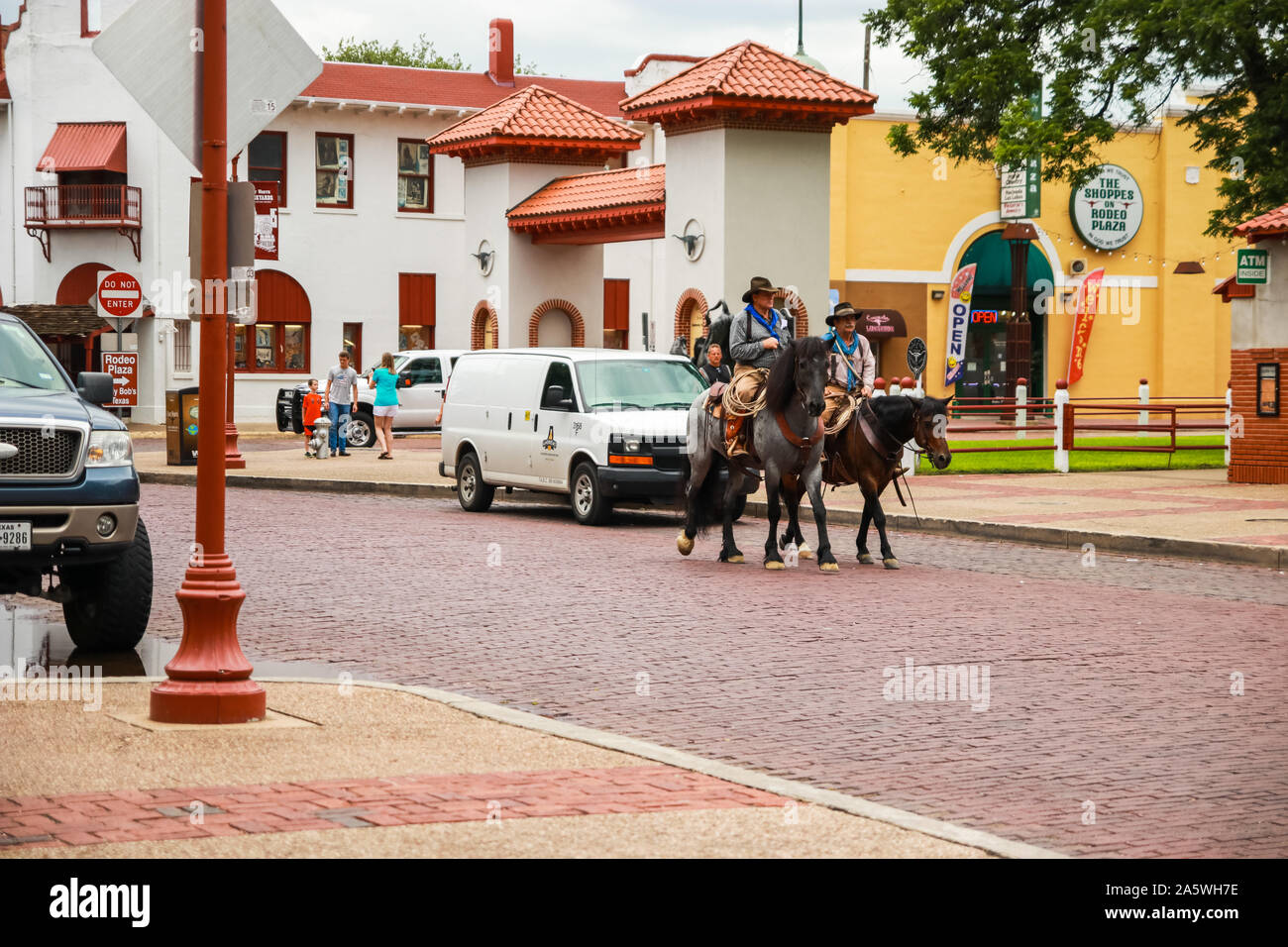 Texas longhorn cattle street hi-res stock photography and images - Alamy