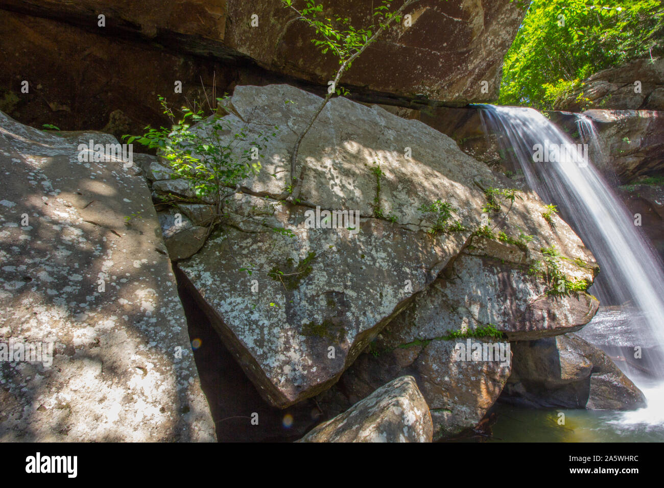 Eagle Cliff Falls, Kentucky Stock Photo Alamy