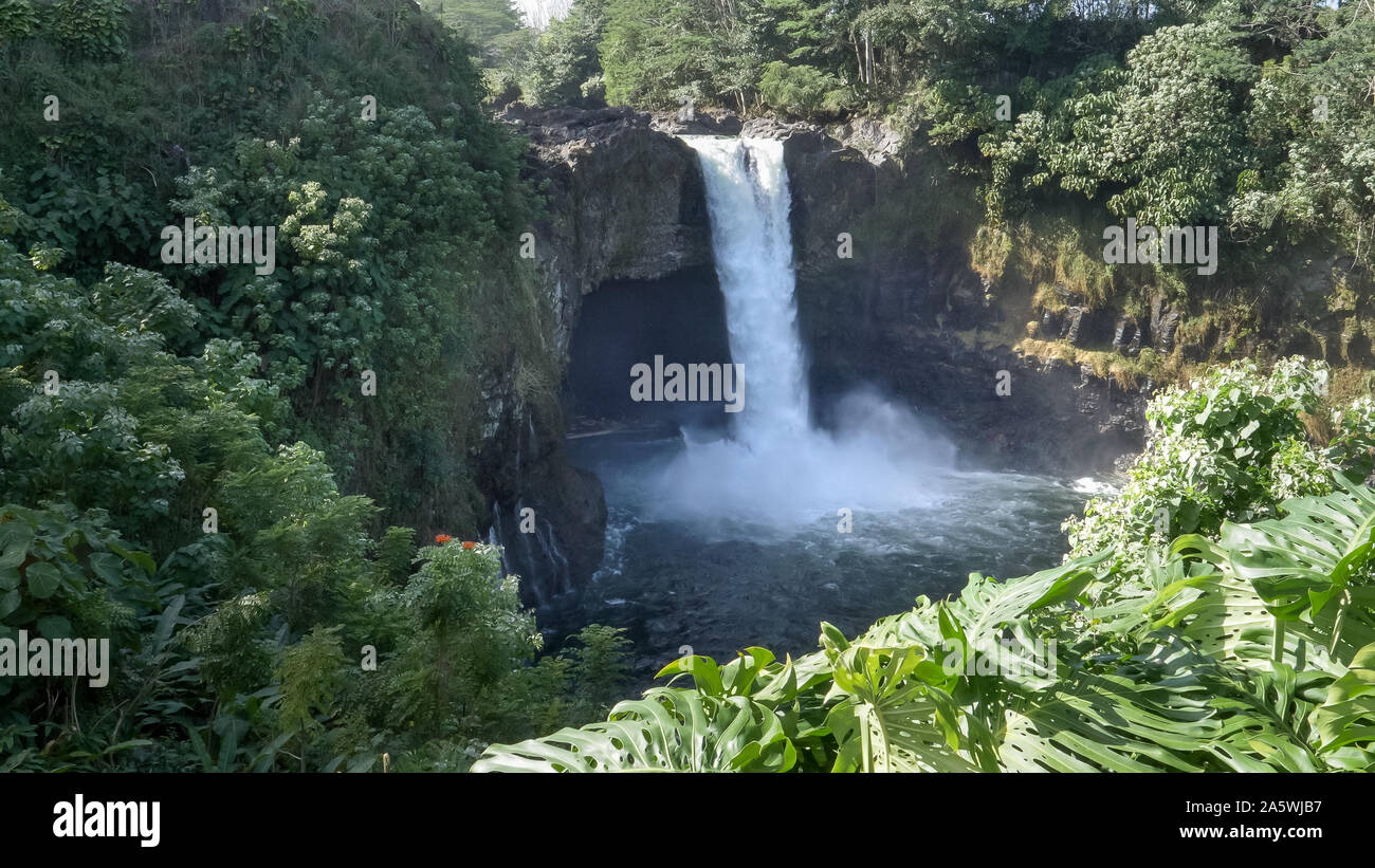 Rainforest on big island hawaii hi-res stock photography and images - Alamy