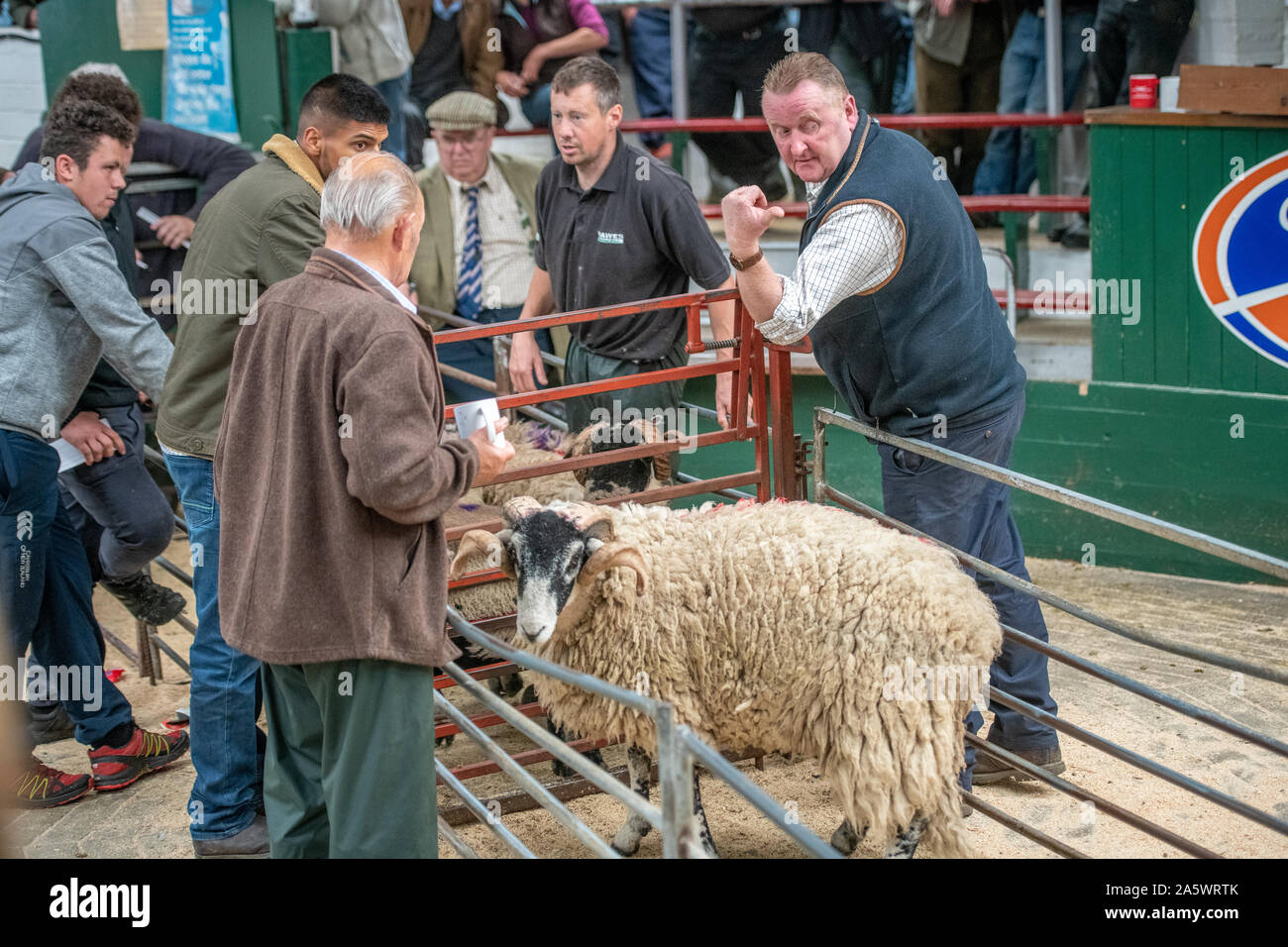 Farmers inspect a rm up for auction, Hawes, Yorkshire, UK Stock Photo