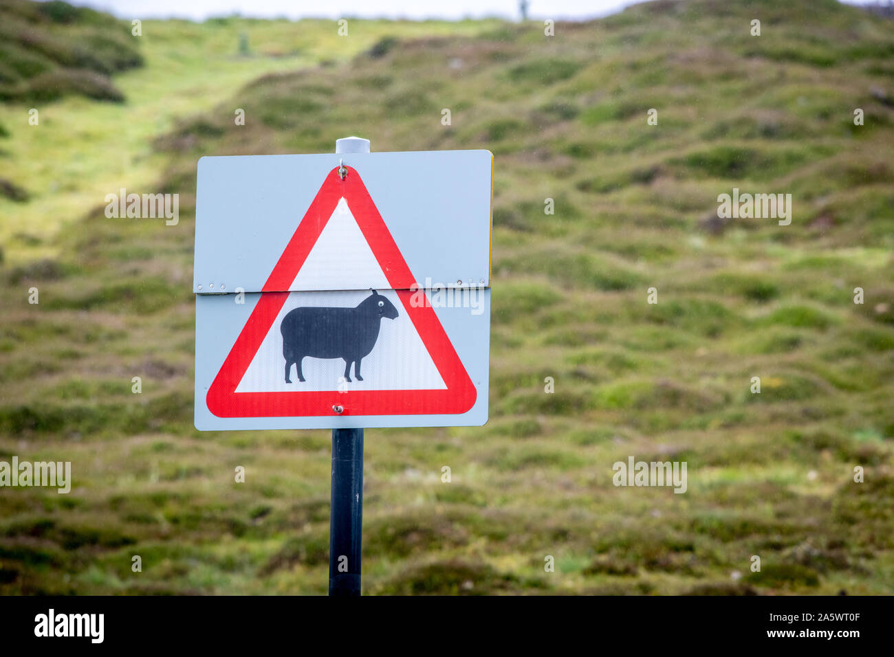 A warning sign alerting people to sheep roaming the areas, Hawes, Yorkshire, UK Stock Photo