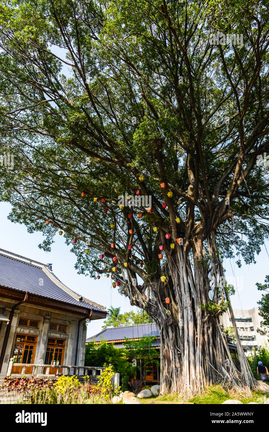 Natural way six arts cultural center, Taichung, Taiwan Stock Photo