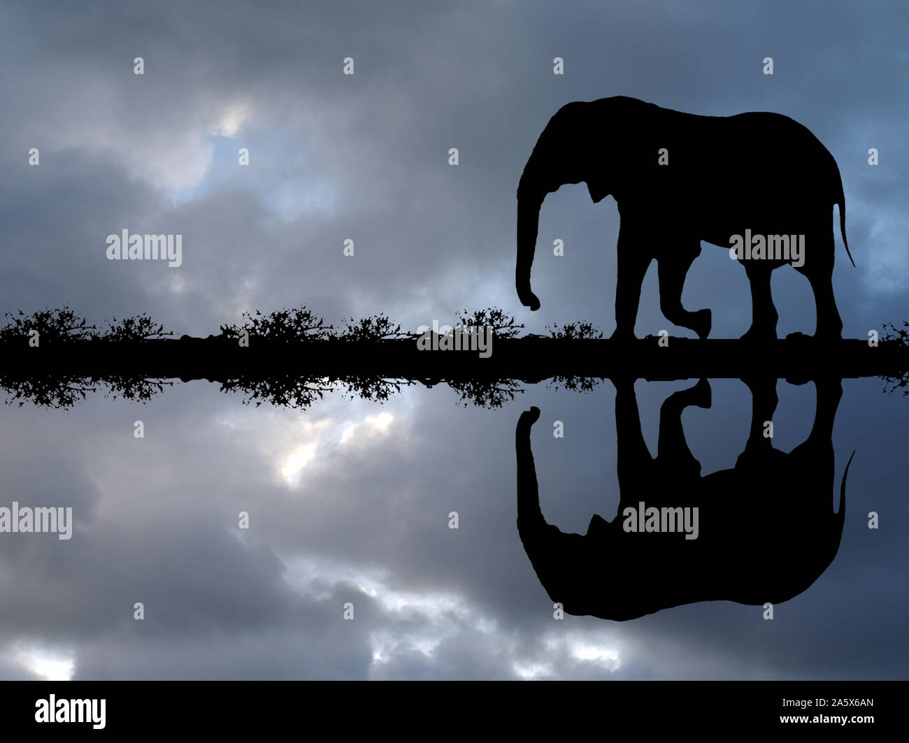 Afrikanischer Elefant spiegelt sich im Wasser bei einer Gewitterstimmung, Loxodonta africana, Stock Photo
