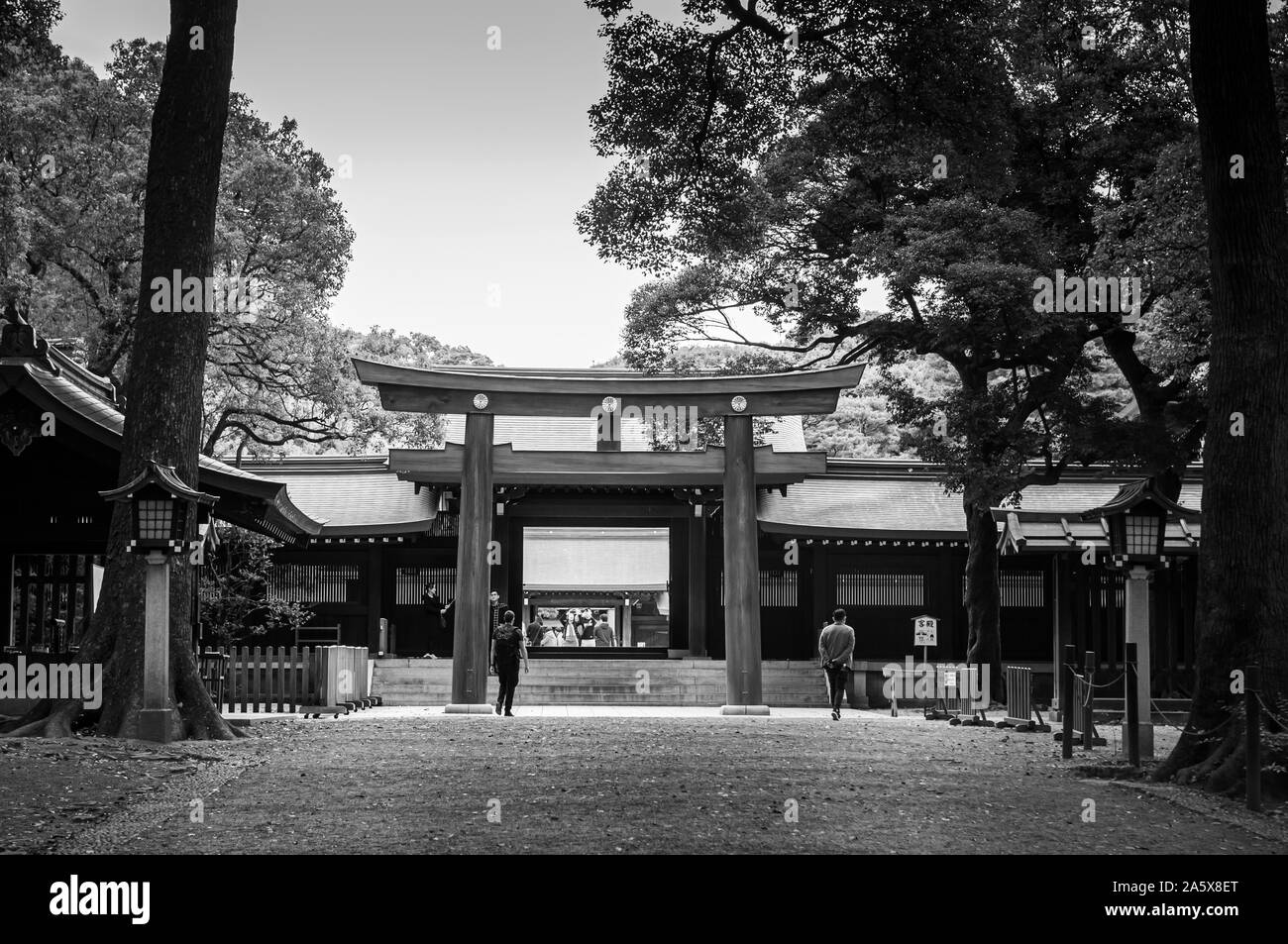 DEC 5, 2018 Tokyo, Japan - Meiji Jingu Shrine Large grand historic Wooden Torii gate under big trees with tourists - Most important shrine and city gr Stock Photo