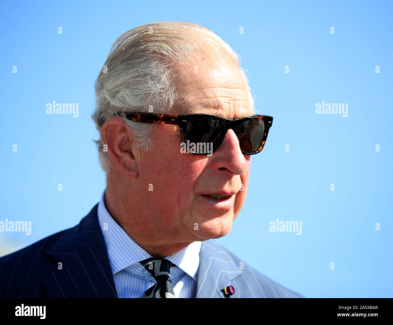 The Prince of Wales during a visit to HMS Enterprise, which is moored at Harumi Pier in Tokyo, Japan. Stock Photo