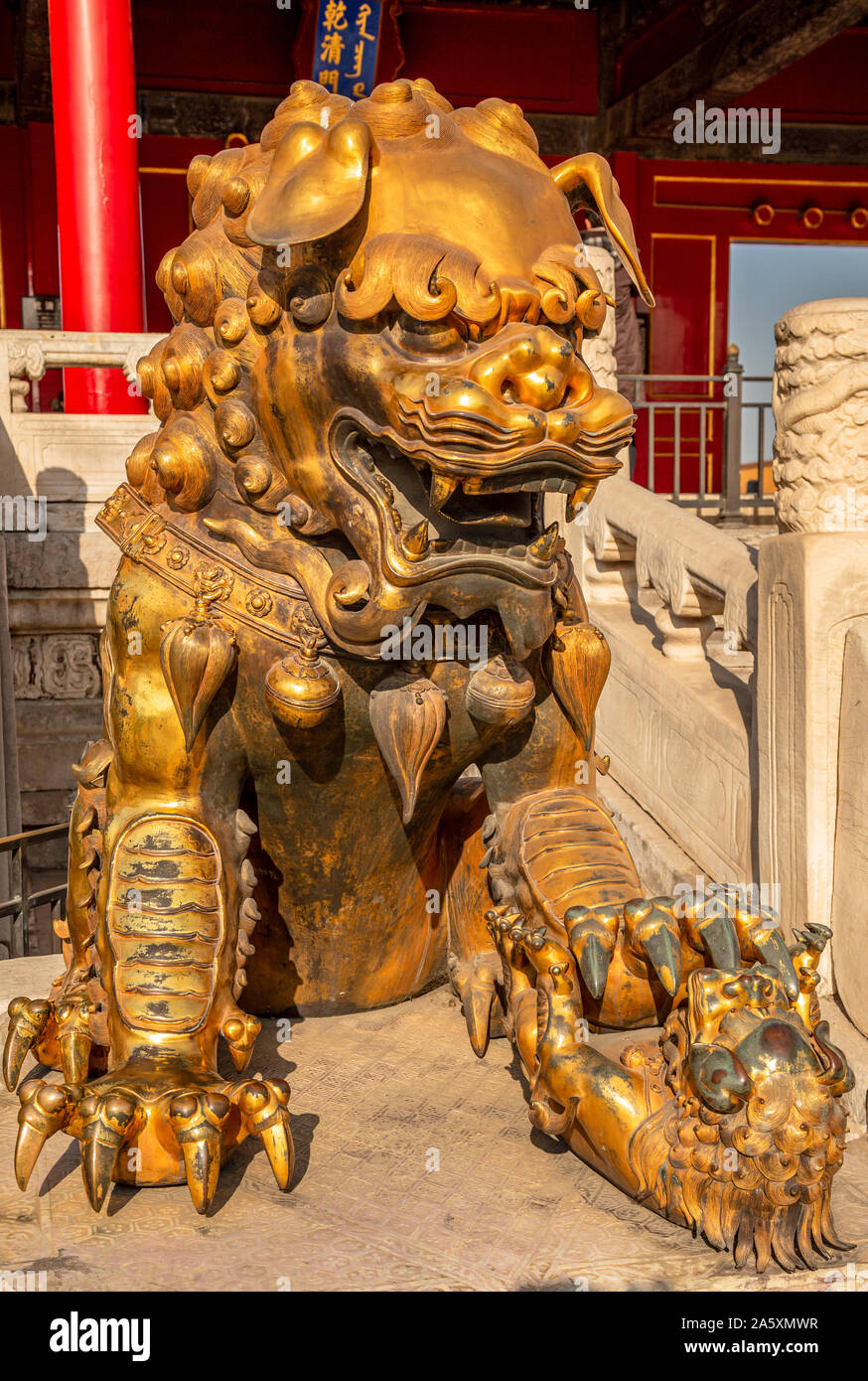 Golden chinese guardian lion or shishi statue from Ming dynasty era, at the entrance to the palace in the Forbidden City, Beijing, China Stock Photo