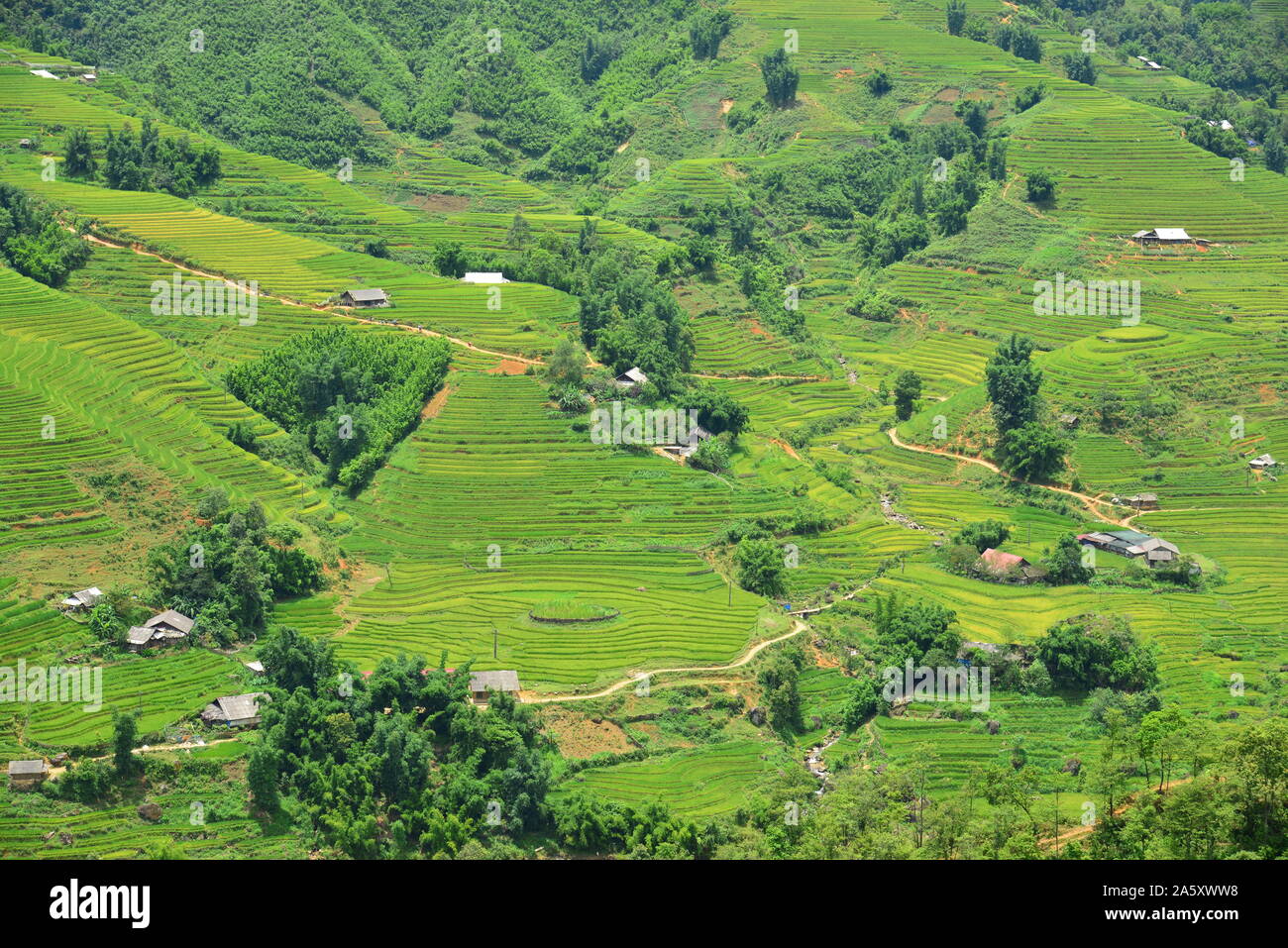 beauty of Vietnam Stock Photo - Alamy