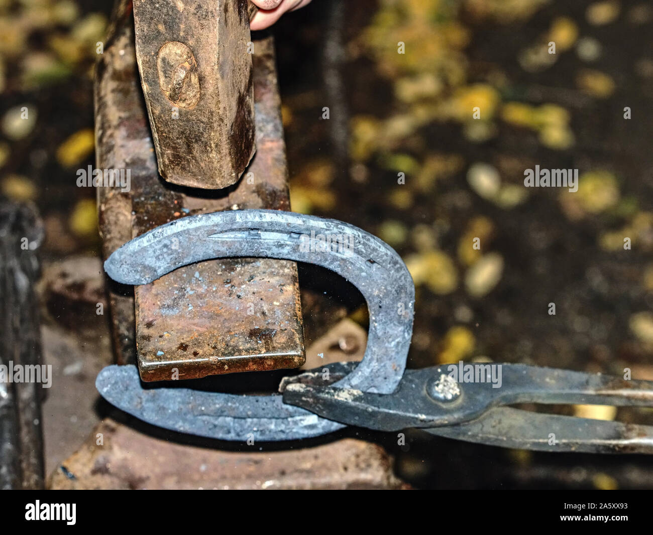 Blacksmith working on the anvil, making a horseshoe. Traditional tools