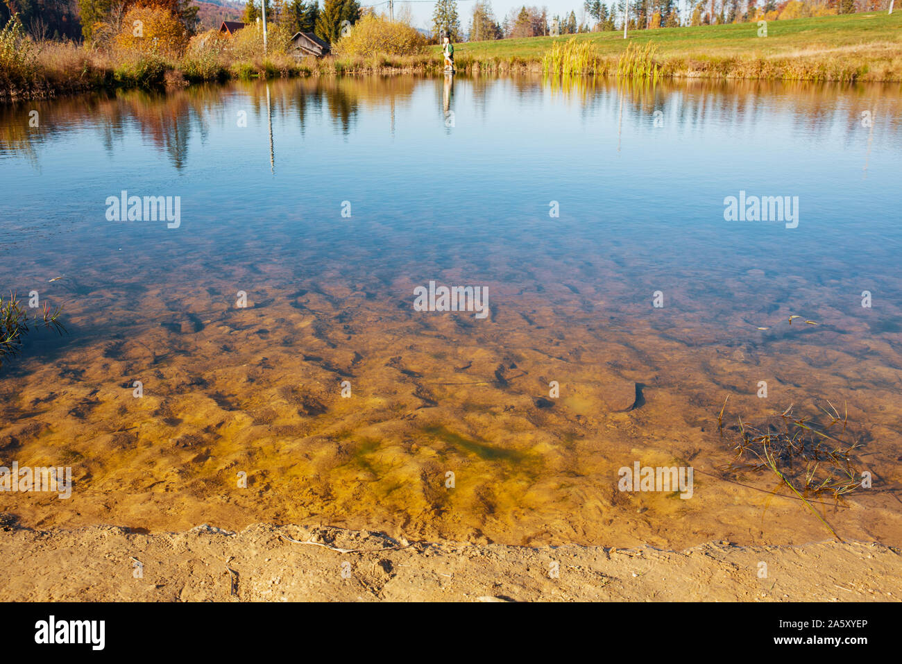 Water level of natural lake in nature Stock Photo