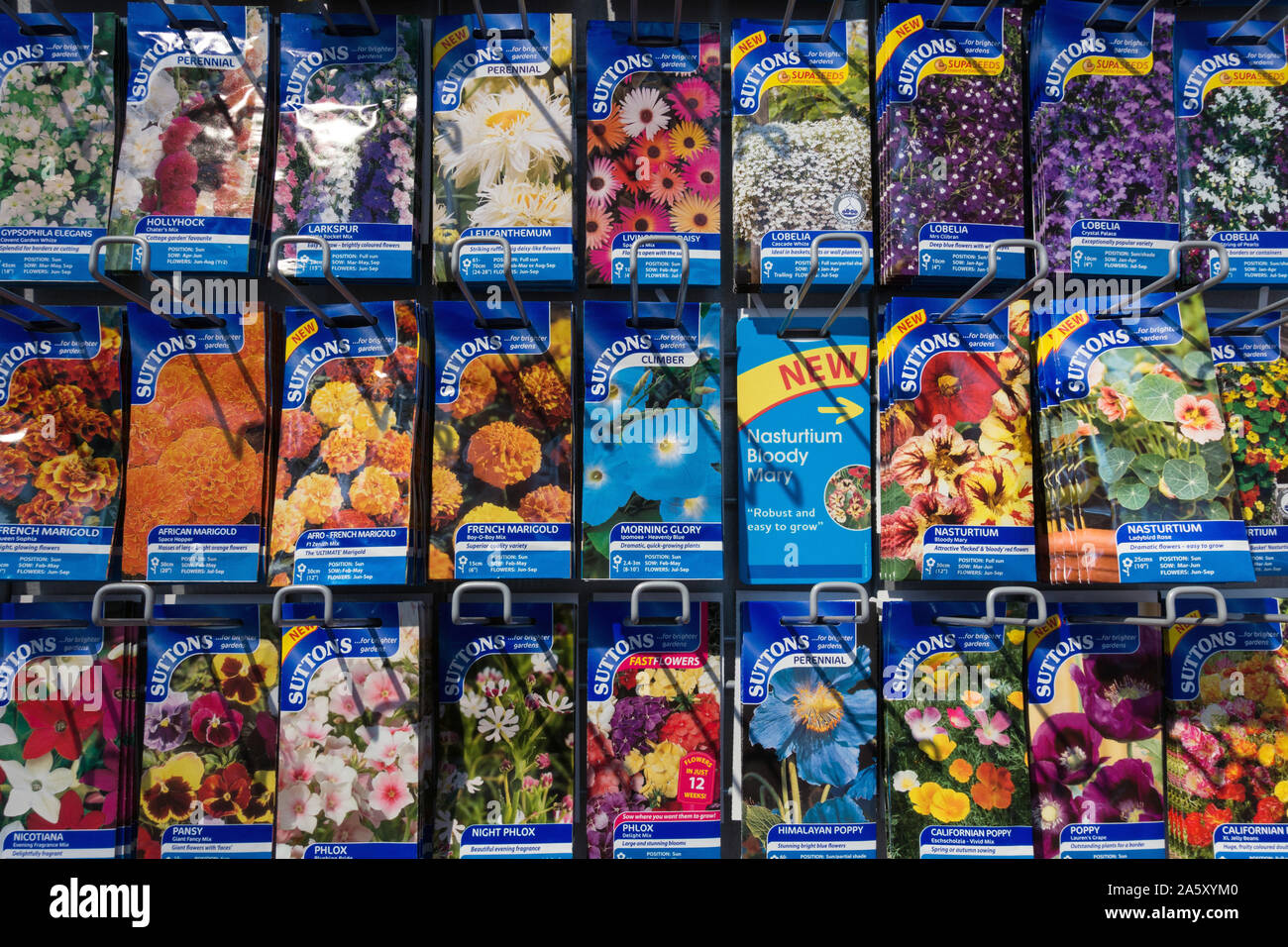 Colourful display of Suttons flower seed packets on sale in a UK Garden Centre. Stock Photo