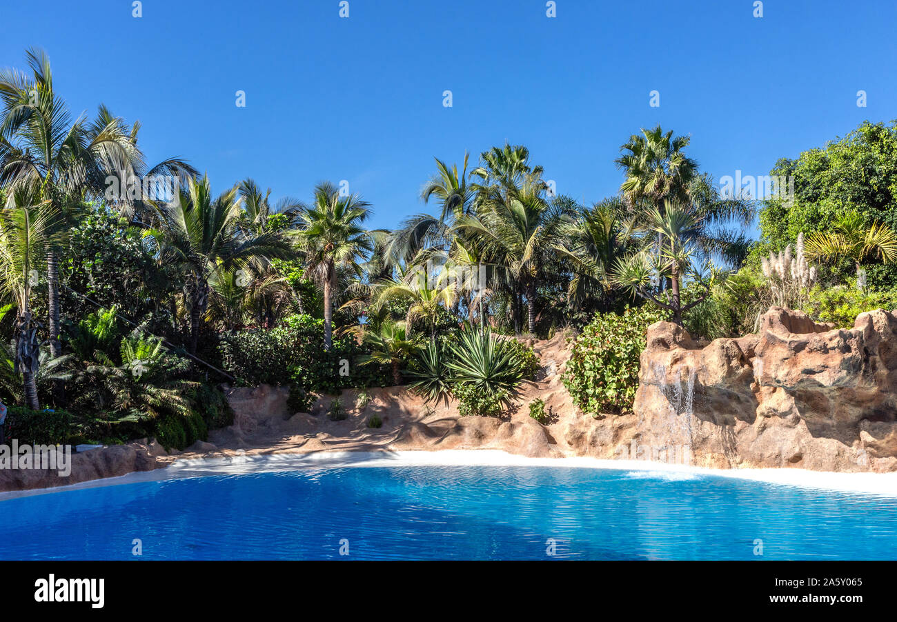 Palm and tropical beach , tropical background Stock Photo - Alamy