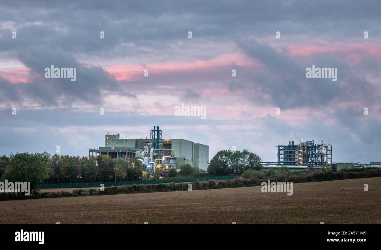 Ringaskiddy, Cork, Ireland. 23rd October, 2019. Novartis Pharmaceutical plant where over 300 job losses have been announced this morning at Ringaskiddy, Co. Cork, Ireland. - Credit; David Creedon/Alamy Live News Stock Photo