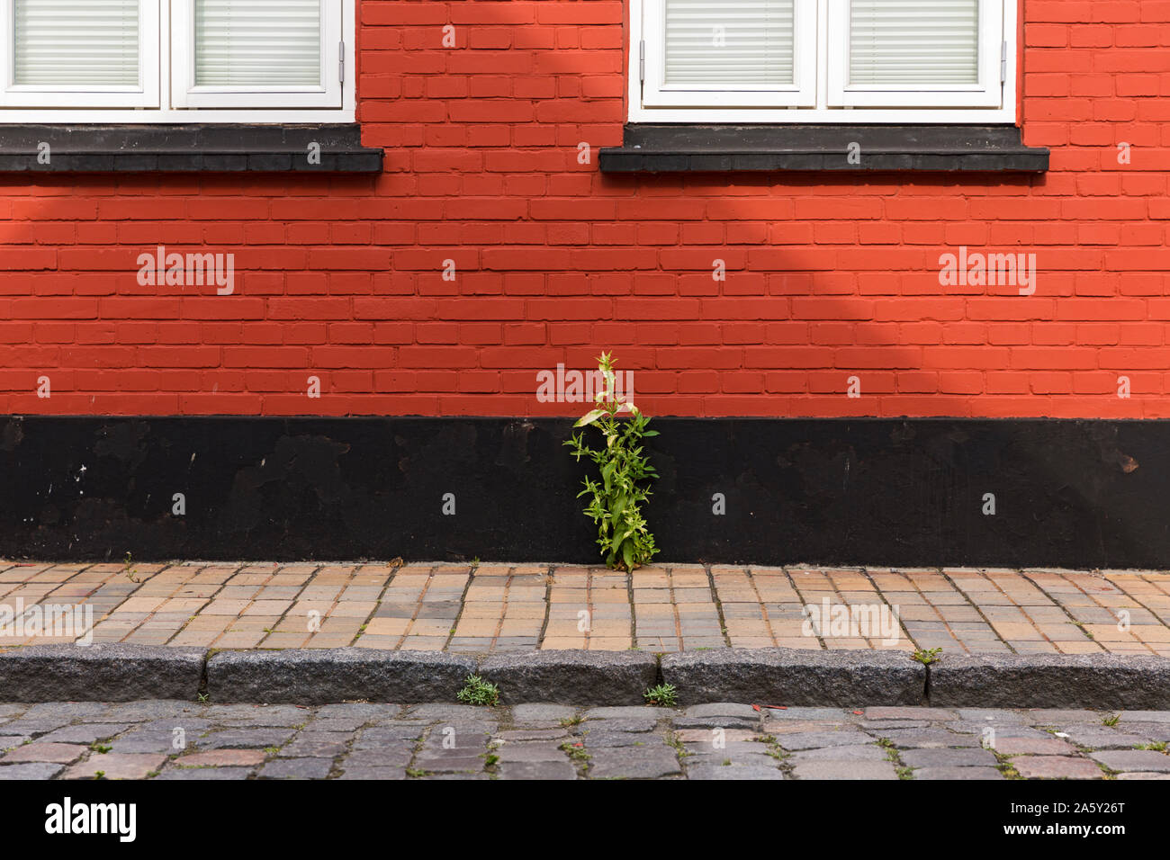 Rønne; Bornholm; Wohnhaus, Hauswand, farbig Stock Photo