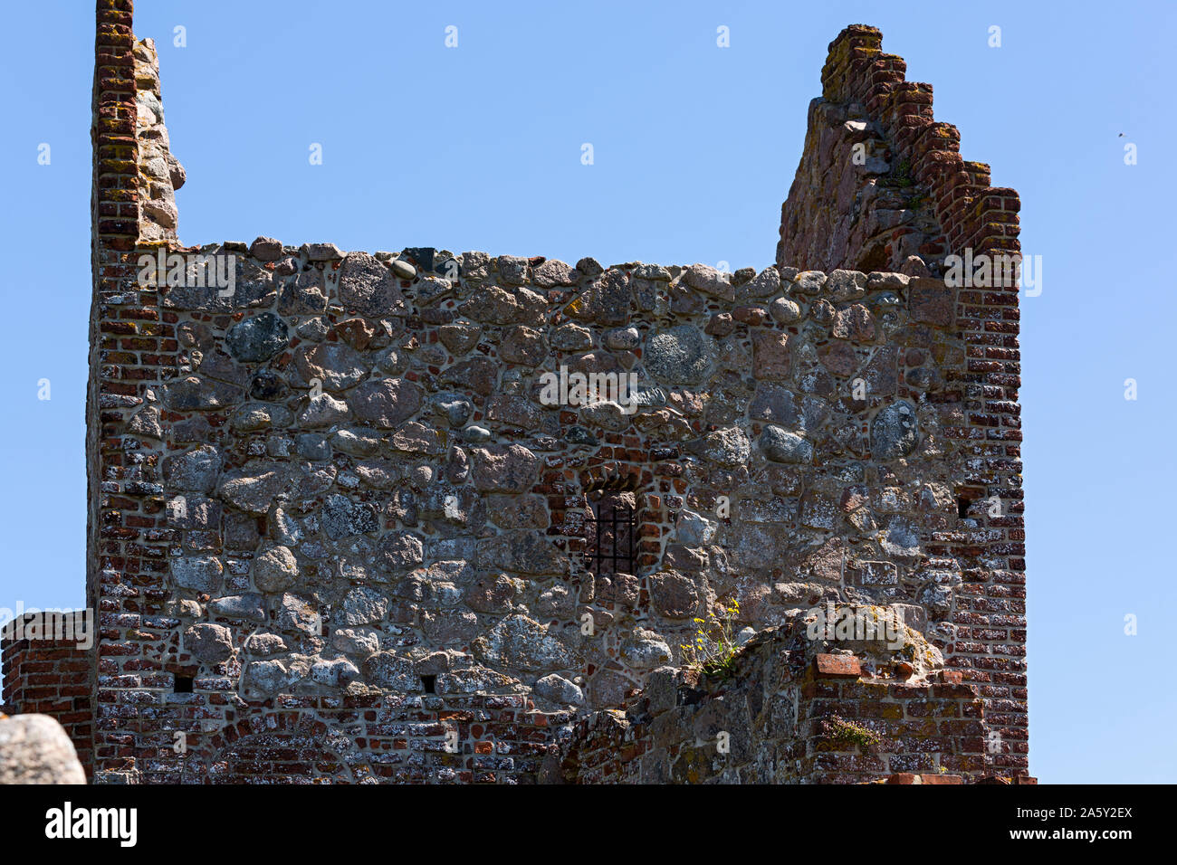 Hammershus, Burgruine, Bornholm, Daenemark Stock Photo Alamy