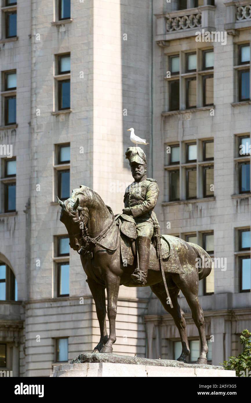 king edward seventh statue Liverpool with accompanying seagull on head. Stock Photo