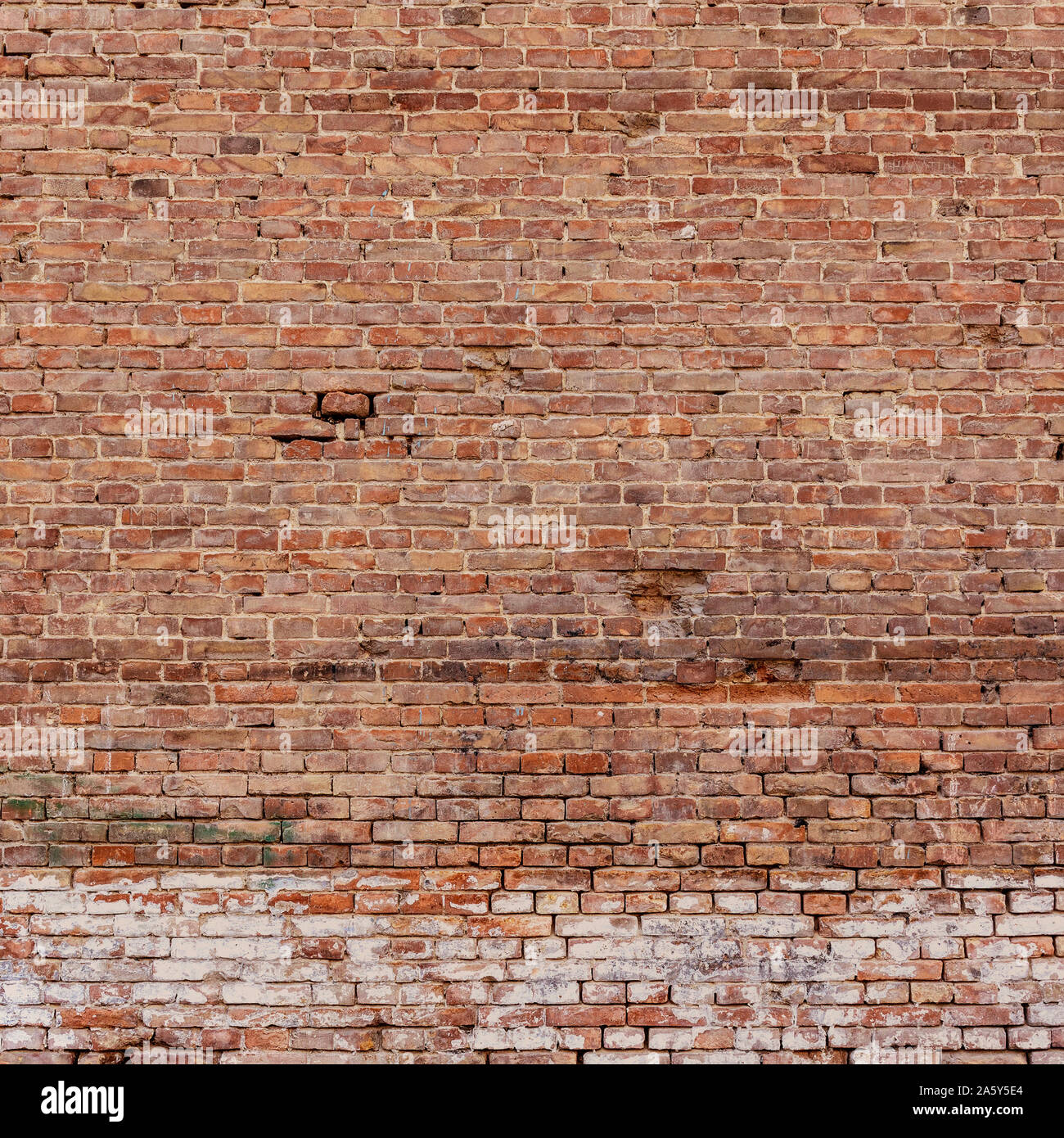 My Image 5