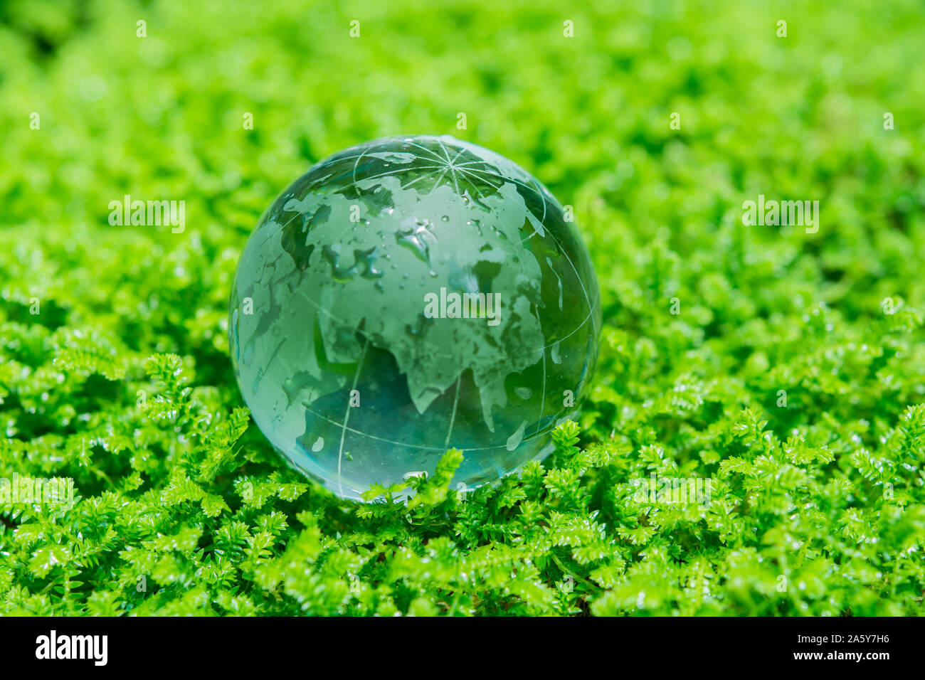 Environment concept glass globe in green grass Stock Photo - Alamy