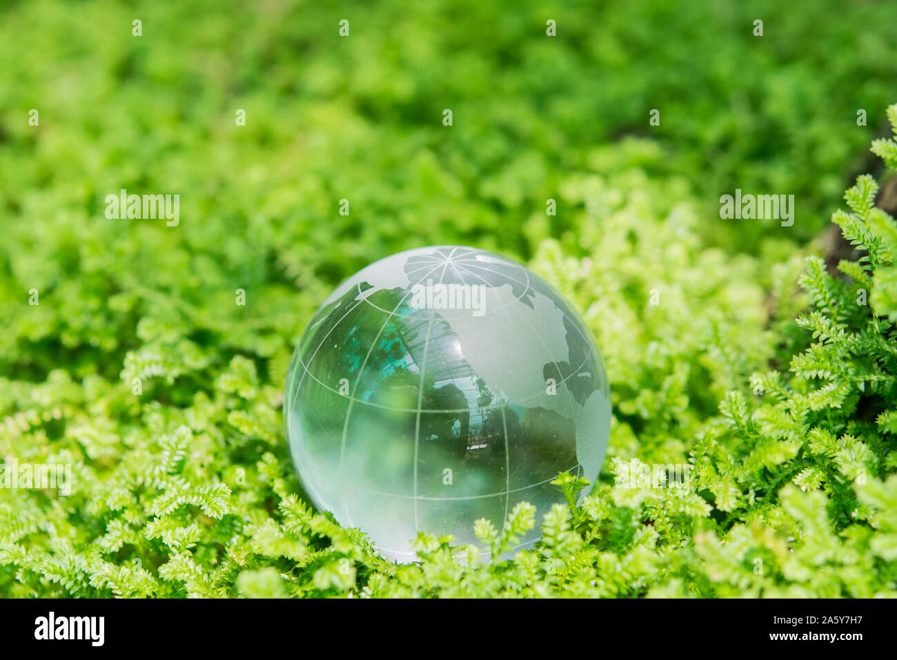 Environment concept glass globe in green grass Stock Photo - Alamy