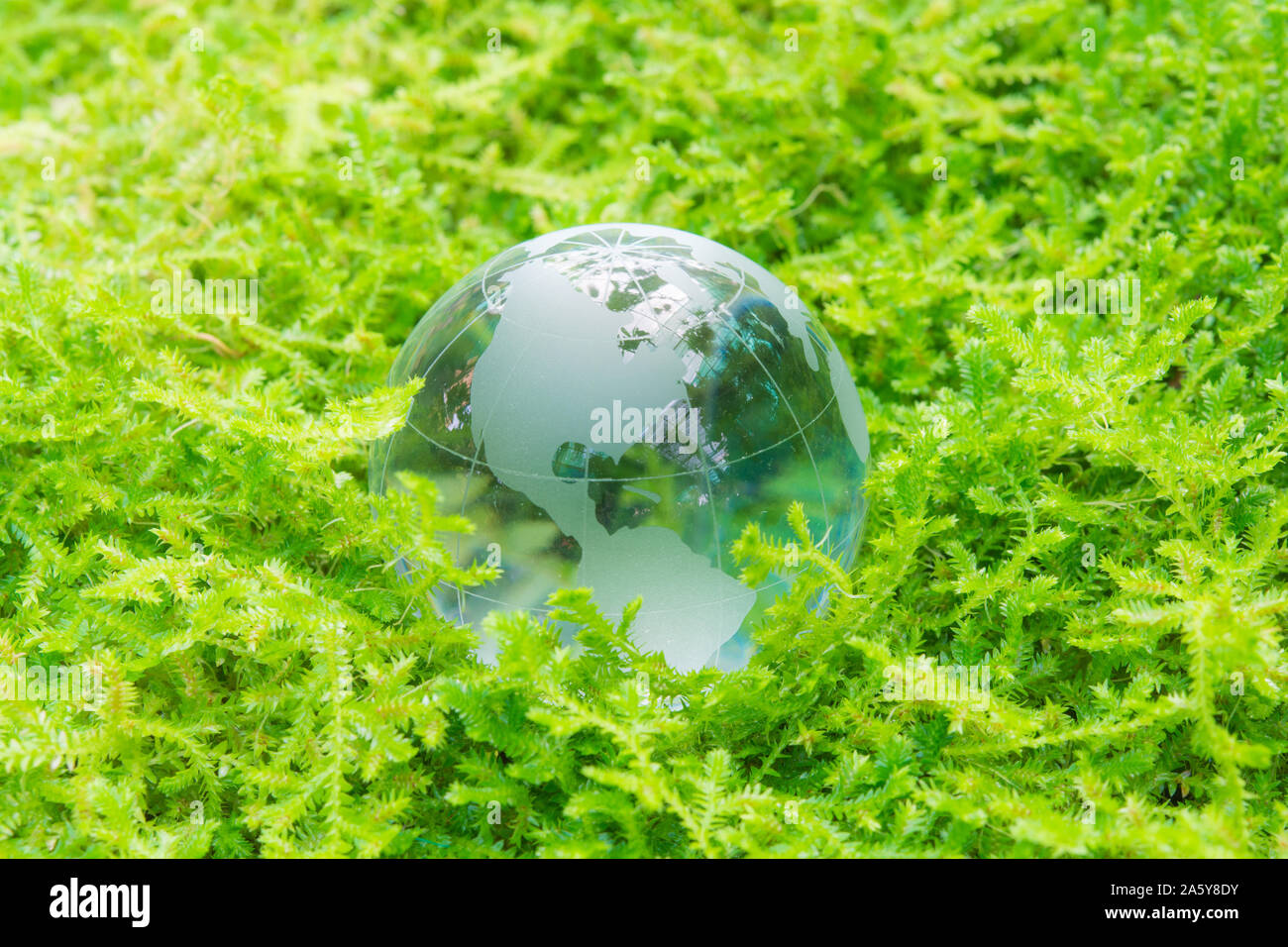 Environment concept glass globe in green grass Stock Photo - Alamy