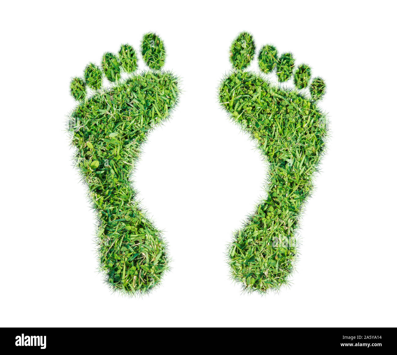 Green grass ecological footprint concept on over white background Stock