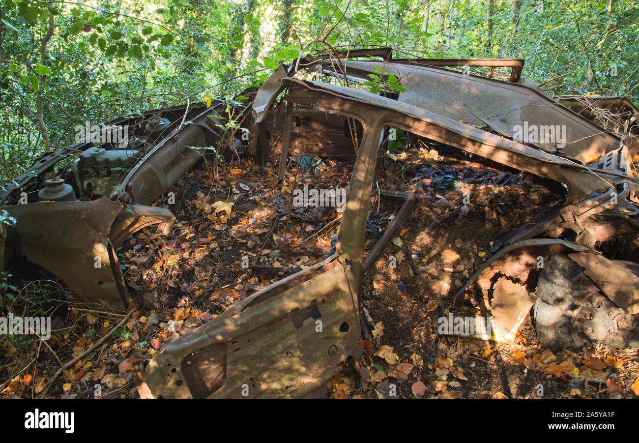 An abandoned car rusting in the middle of woodands in south London Engand Stock Photo