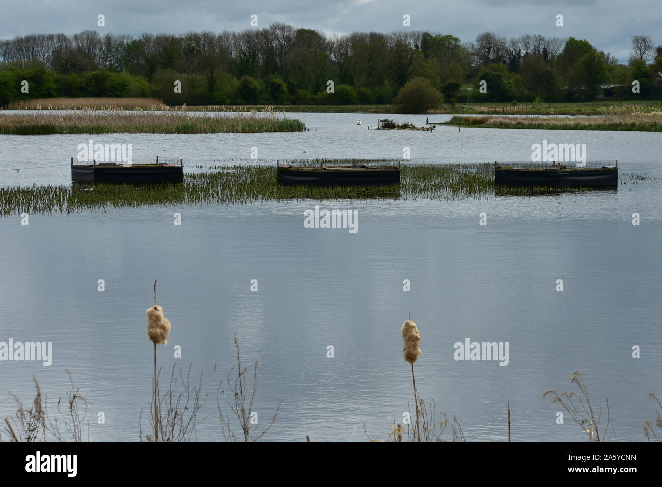 Lagoon, Staveley Nature Reserve 4, Yorkshire Stock Photo