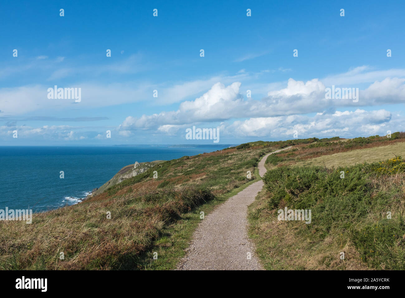 The South West Coast path between Bolberry Down and Hope Cove in the South Hams, Devon, UK Stock Photo