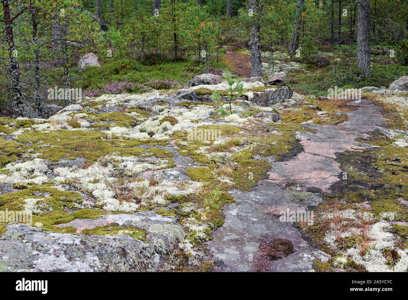 Rock of Tears, Taivassalo, Finland is an old execution spot, where Finland’s first known homosexuals were sentenced to decapitation. Stock Photo