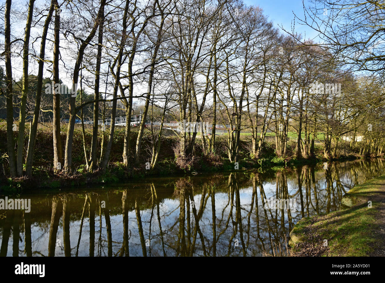 Reflections, Leeds Liverpool canal, Apperley Bridge Stock Photo Alamy