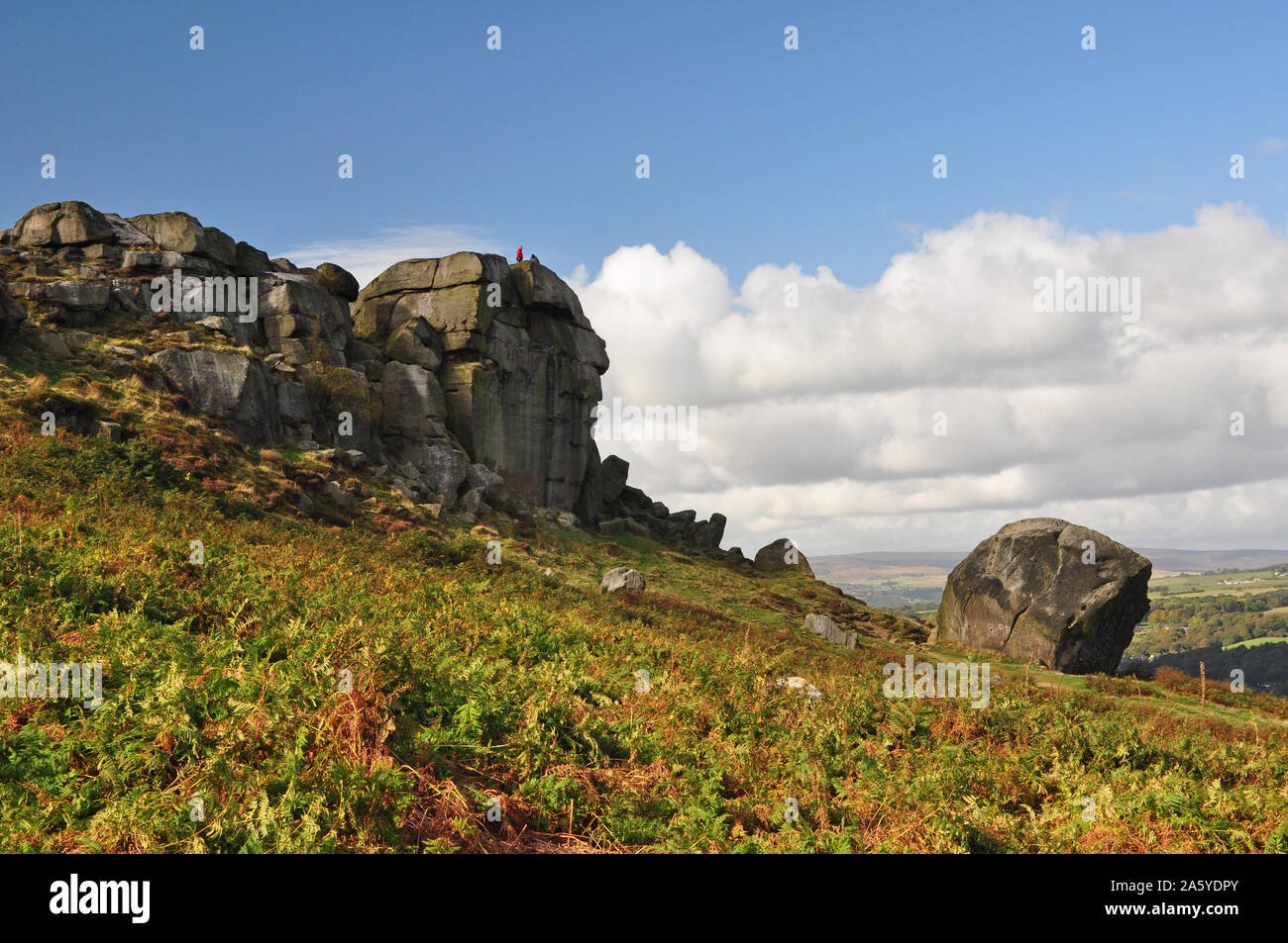 Cow and Calf rocks, Ilkley Stock Photo Alamy
