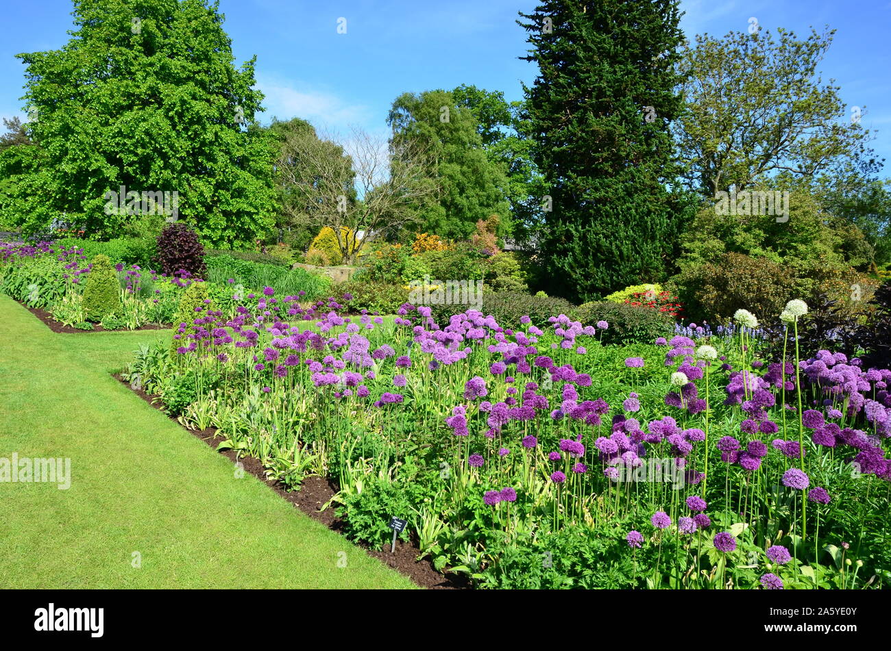 Flower beds, Harlow Carr Gardens, Harrogate Stock Photo Alamy