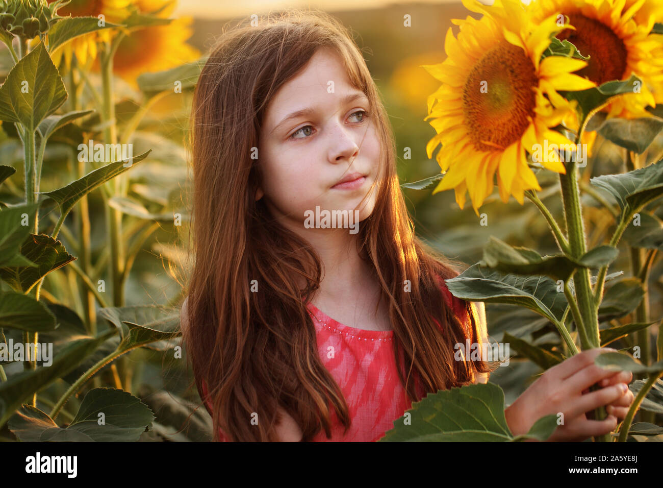 red dress with sunflowers