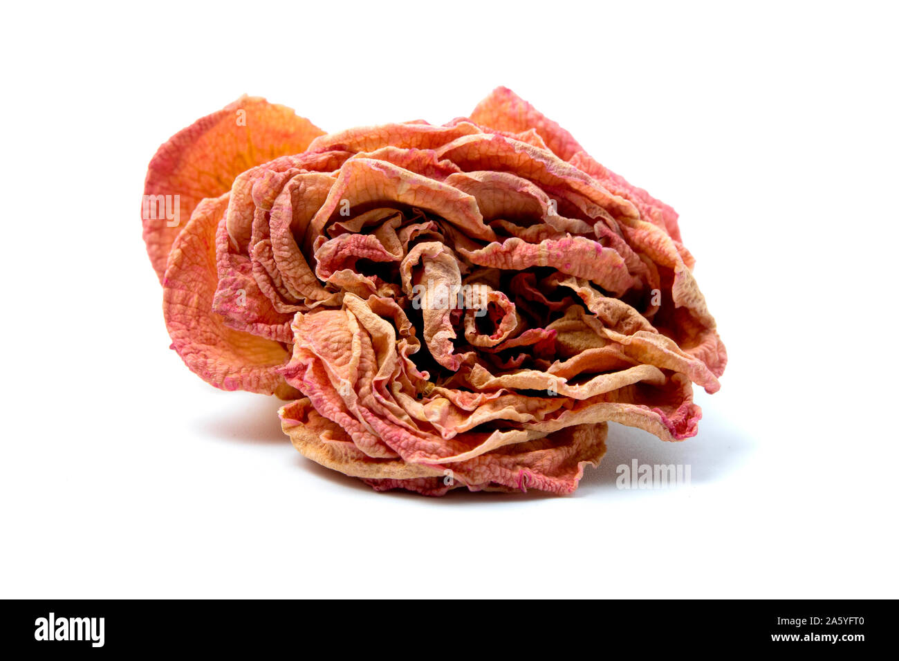 Rose potpourri on a white background Stock Photo