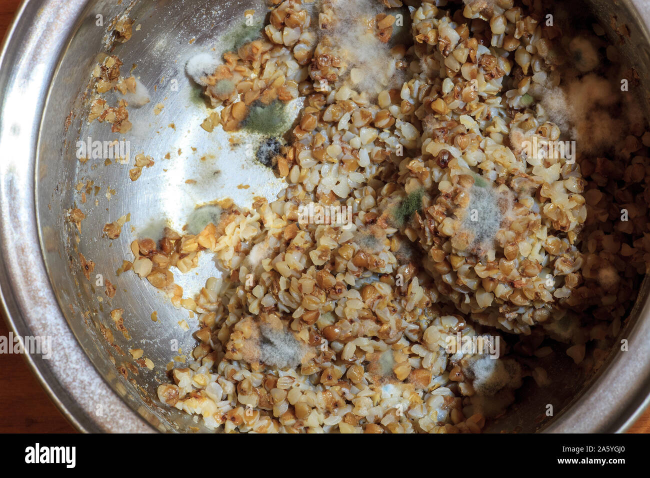 Fluffy fungi spores mold growing on buckwheat porridge in metal cooking