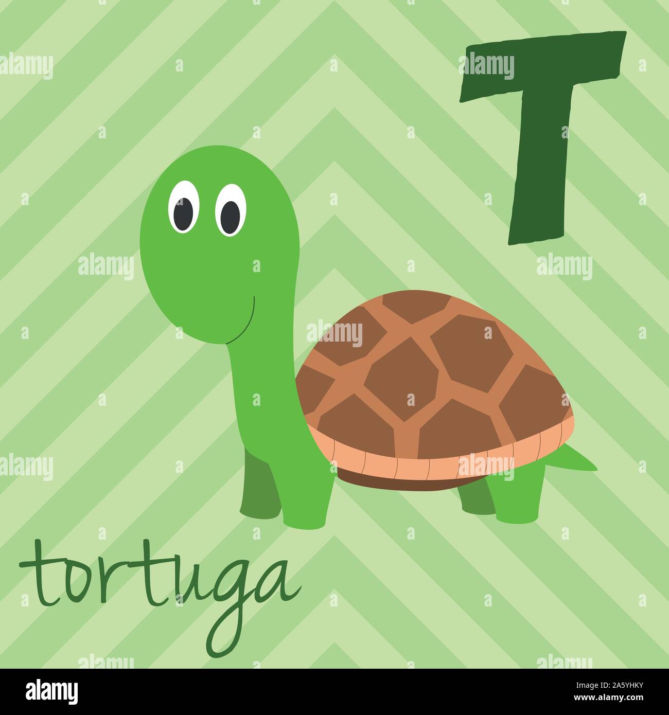 Cute cartoon zoo illustrated alphabet with funny animals. Spanish alphabet: T for Tortuga. Learn to read. Isolated Vector illustration. Stock Vector