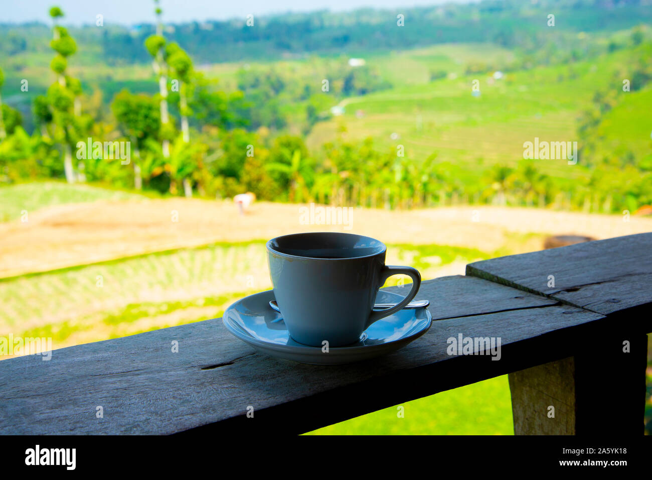 Cup of Java Coffee Indonesia Stock Photo Alamy