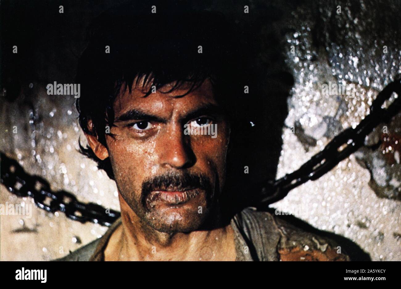 возлюбленная лойко зобара