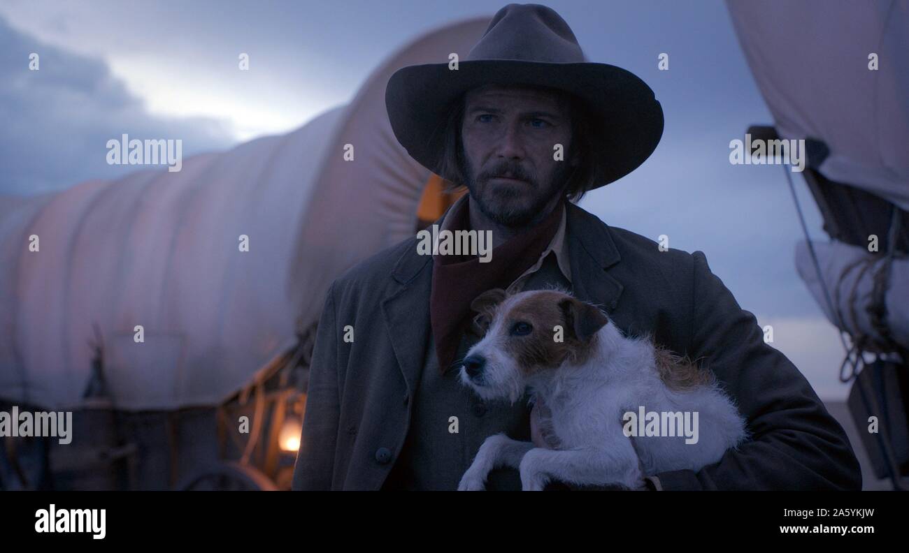 Wagon with dog hires stock photography and images Alamy