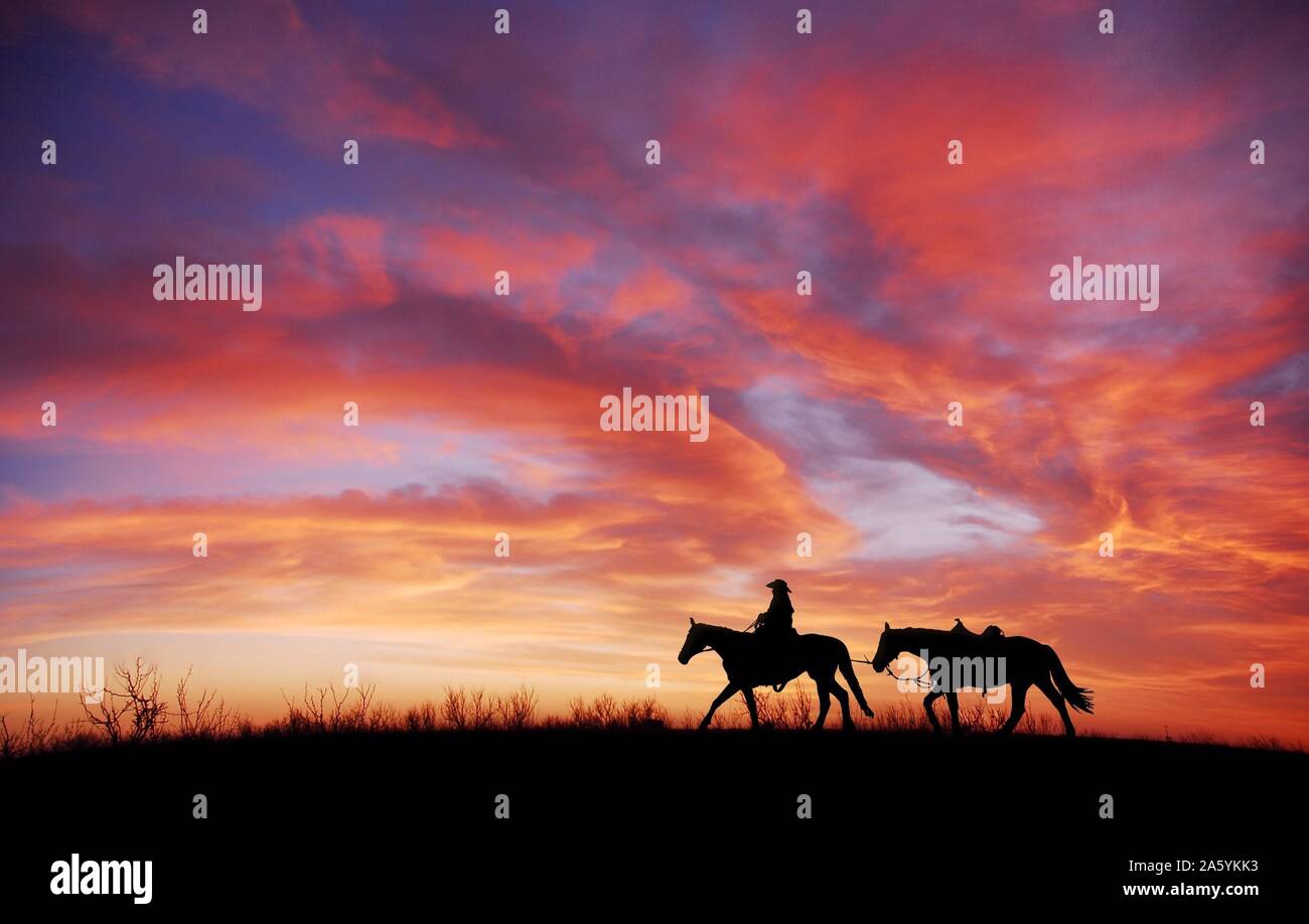 The Ballad of Buster Scruggs All Gold Canyon Year 2018 USA Director