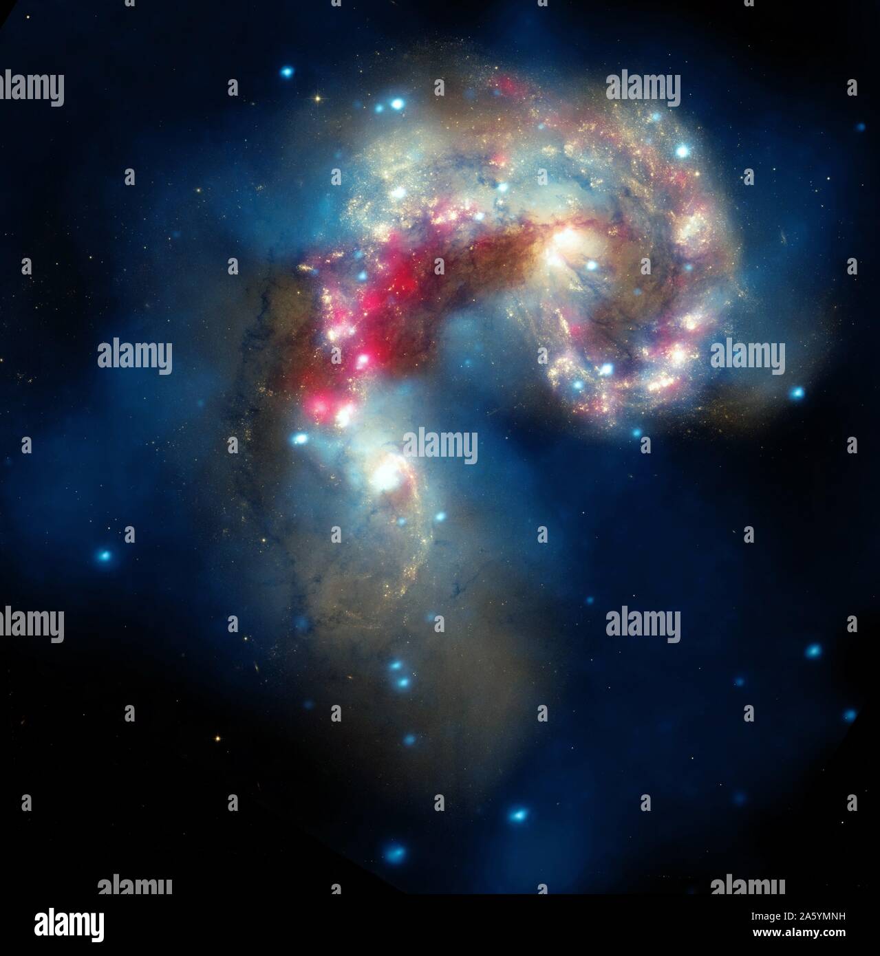 The Antennae galaxies, located about 62 million light-years from Earth, are shown in this composite image. The collision, which began more than 100 million years ago and is still occurring, has triggered the formation of millions of stars in clouds of dusts and gas in the galaxies. Hubble and Spitzer. Stock Photo